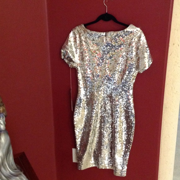 Silver Sequins Dress - Picture 2 of 4