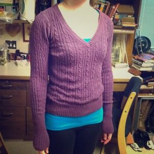American Eagle purple cable knit sweater.