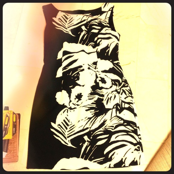 Connected petite size 4P dress