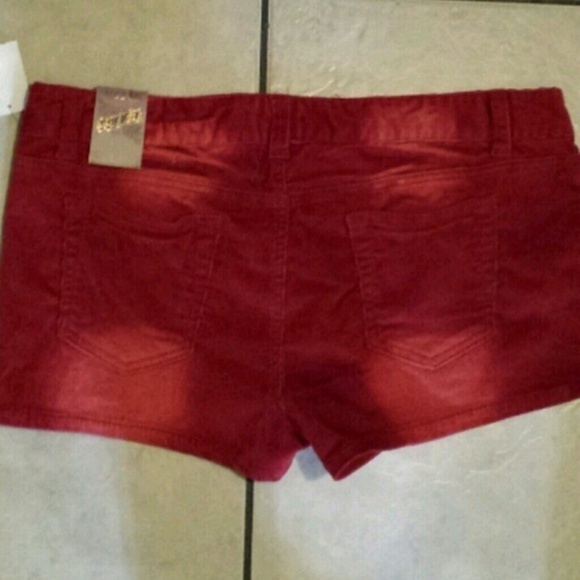 Stretchy Corduroy shorts - Picture 2 of 2
