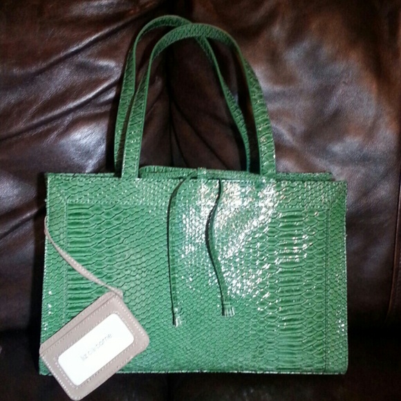 Liz Claiborne green snake print bag *****ON HOLD**