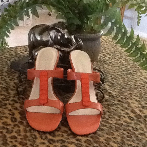 Liz Baker - Coral Slides