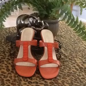 Liz Baker - Coral Slides