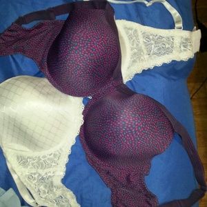 2 Bras size 40D