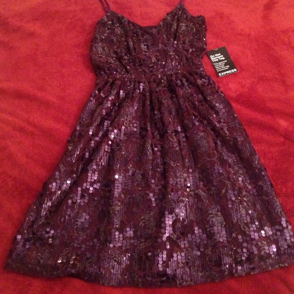 Express Plum Sequin Cocktail Dress!!
