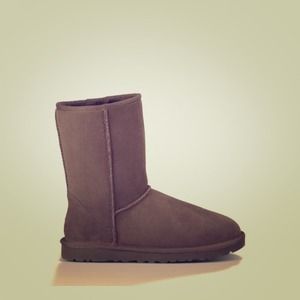 Chocolate Uggs Classic Short