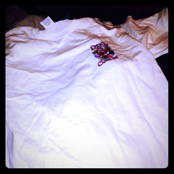 Dixie chic / southern girl tee