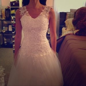 Wedding/Sweet 16 tulle dress