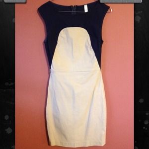 Navy and tan wet seal dress