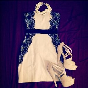 Lack lace blush fitted dress