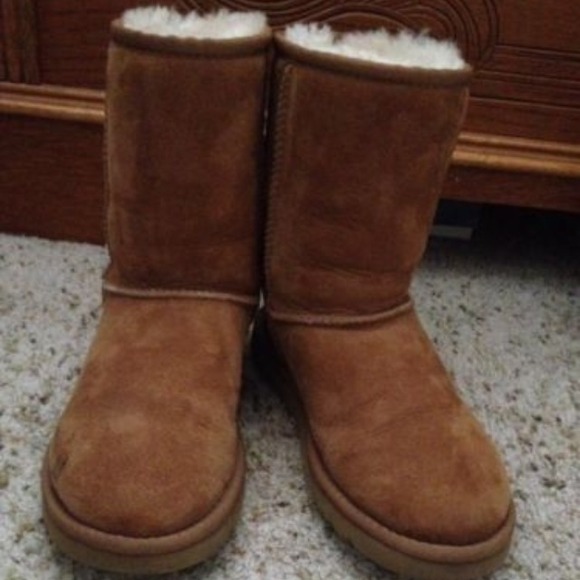 Short Chestnut Uggs 💥Price Lowered💥