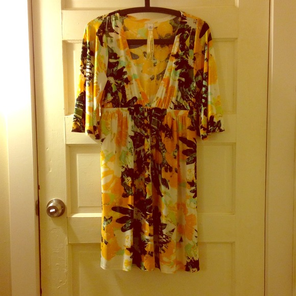 Uncle Frank Deep Plunge V Neck Spring Dress