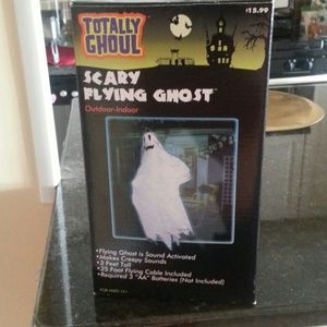 Halloween scary flying ghost