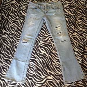 American eagle reposh