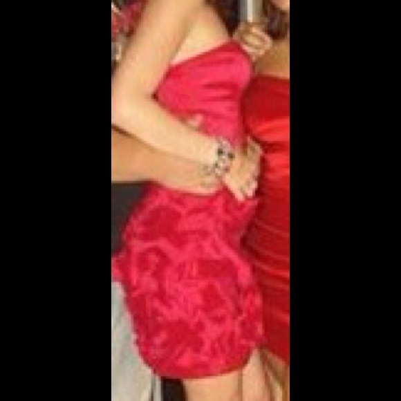 Max and Cleo - Picture 1 of 4