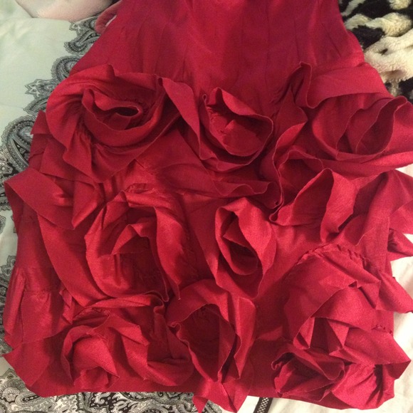 Max and Cleo - Picture 2 of 4