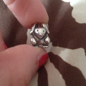 Pandora charm
