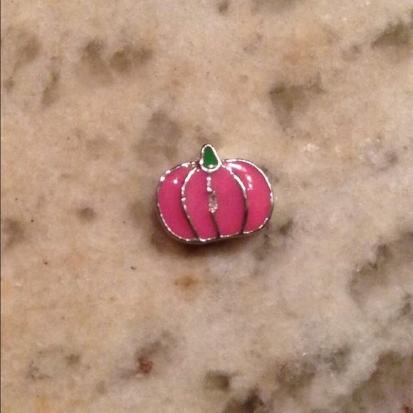 Pink Pumpkin floating charm