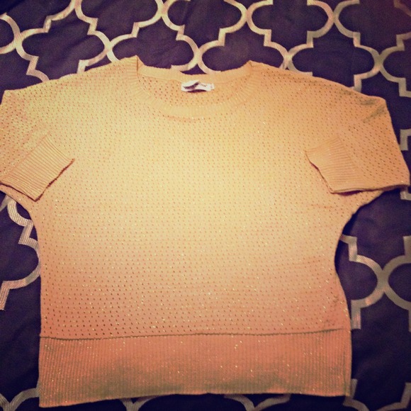 ✂️FINAL✂️✨Nude & Metallic Gold Dolman Sweater✨