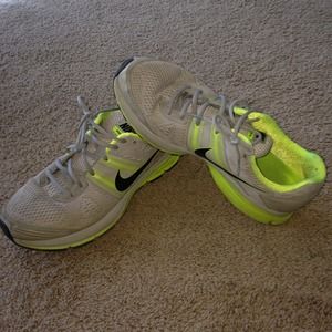 Men's Nike Pegasus 29