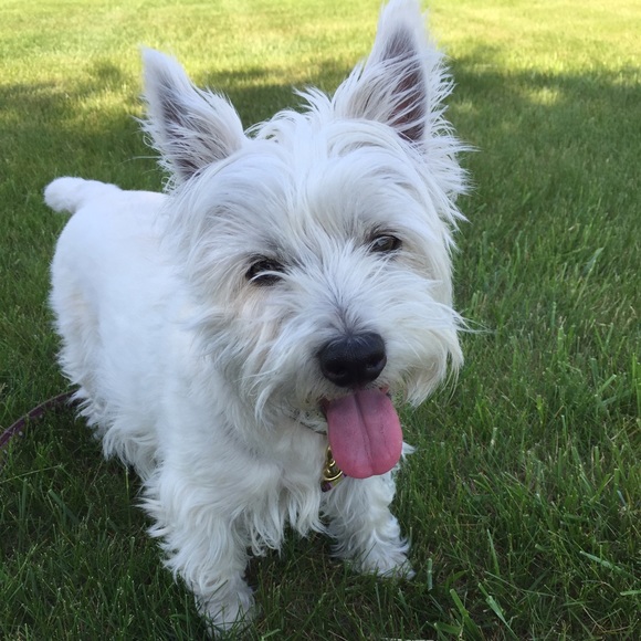 Welcome to my closet! - Picture 3 of 5