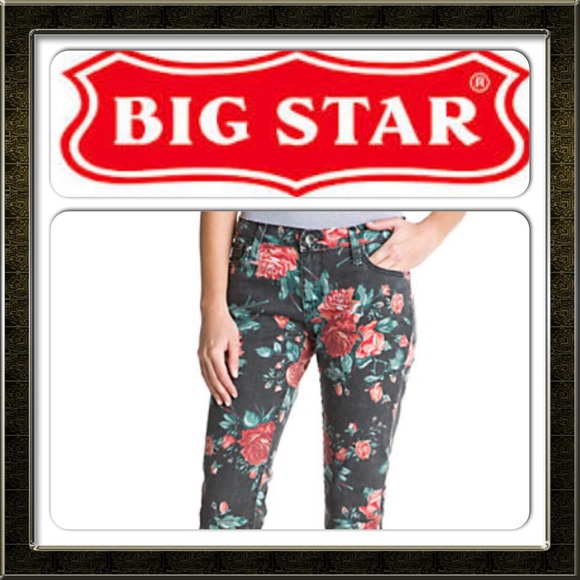 Big Star skinny leg iAlex vintage Rose