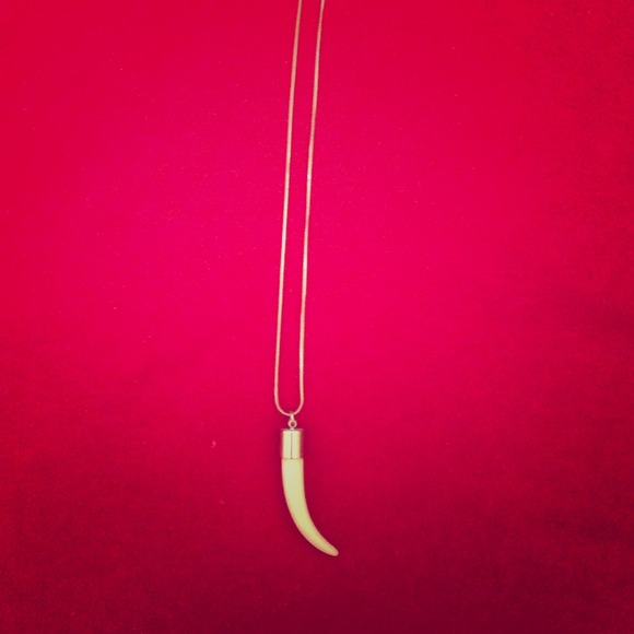 Ivory horn necklace