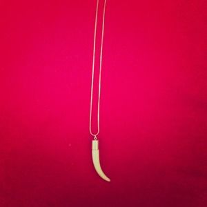 Ivory horn necklace