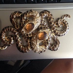 Rhinestone Two Snaked Pin