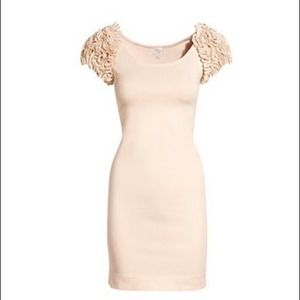 H&M Garden Collection ruffled sleeve blush pink