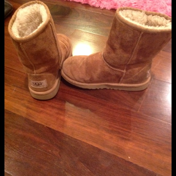 Short Classic Chestnut Uggs AUTHENTIC SALE!