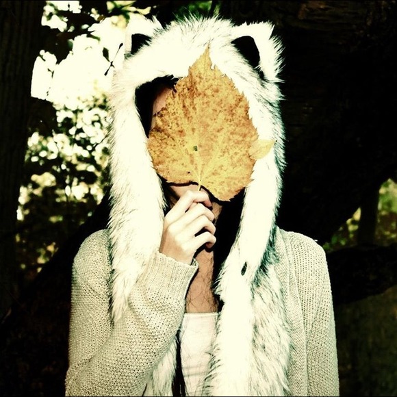 AUTHENTIC Husky Spirithood!