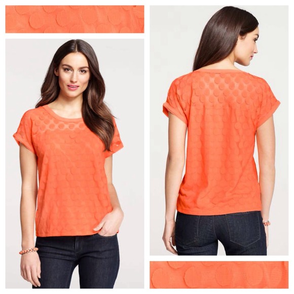 🎉 HOST PICK 🎉 Ann Taylor Dotted Shirt, S - Picture 2 of 2