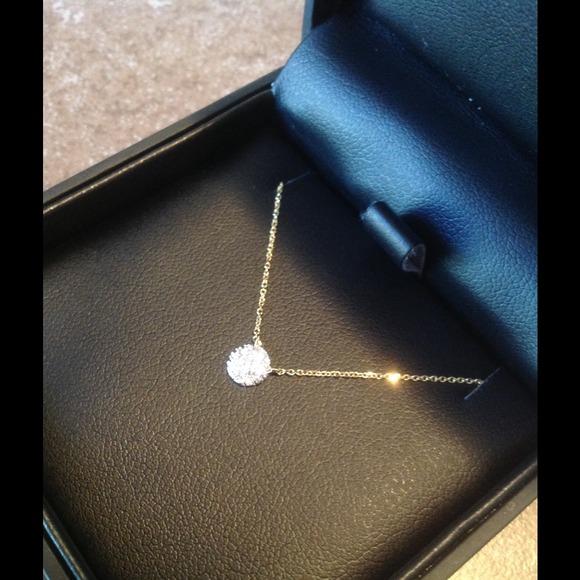 Dana Rebecca Lauren Joy Mini Necklace 😍