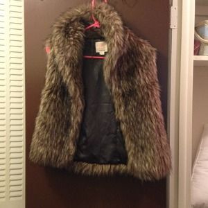 Fur vest