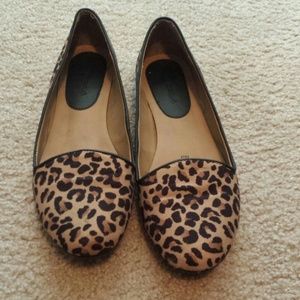 Cheetah flats