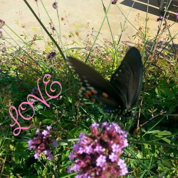 Markdown and new listings!