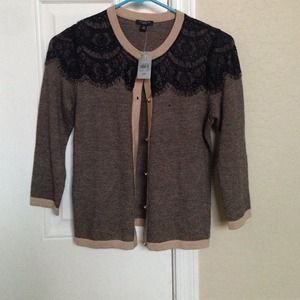 ann taylor sweater