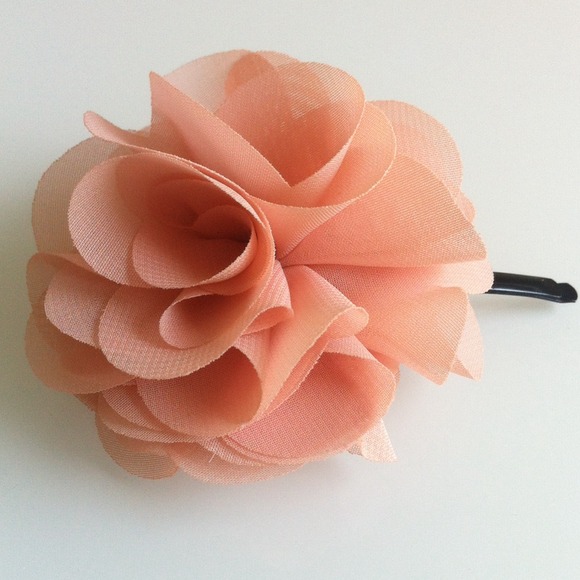 ❌SOLD❌ J. Crew Rosette Hair Pins - Picture 3 of 3