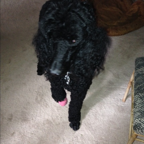 Thank you for your shares and prayers! - Picture 2 of 4