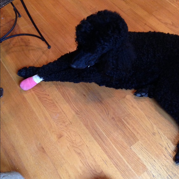 Thank you for your shares and prayers! - Picture 3 of 4