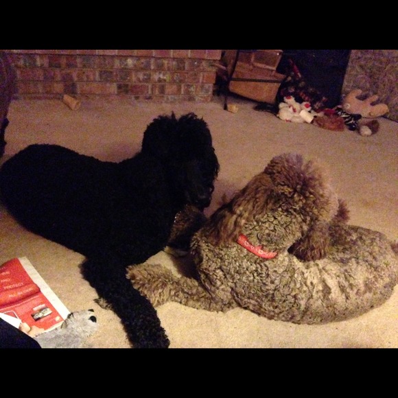 Thank you for your shares and prayers! - Picture 4 of 4