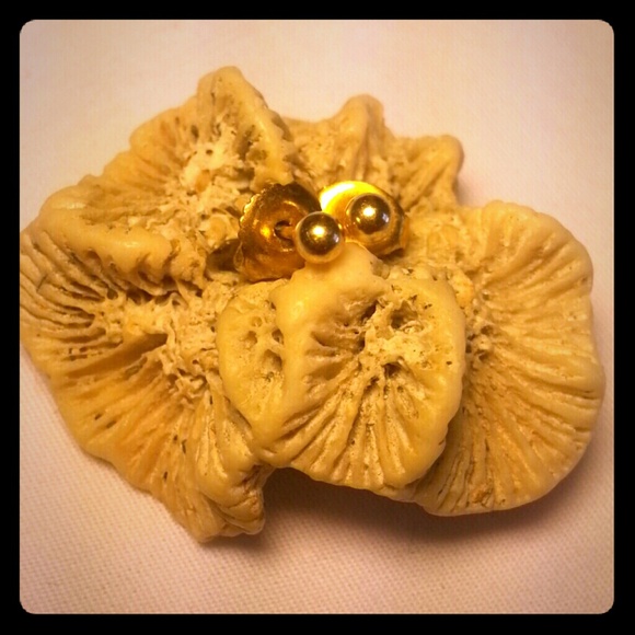 HOLD for CMIRELESS 10K Gold Small Stud Earings