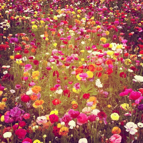 The Bests - Picture 4 of 4