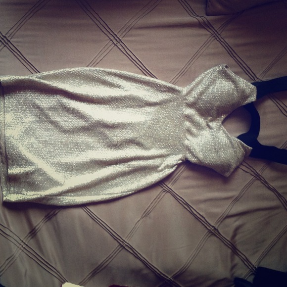 Dress ( wet seal )