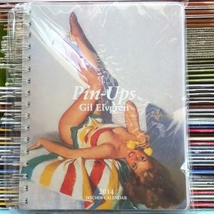 Brand new pin up girl planner 2014