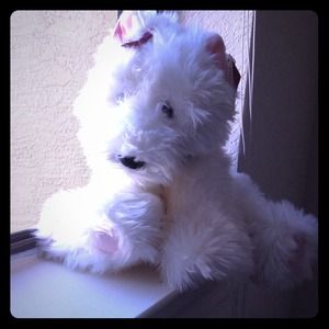 Reduced VS Lola 2001 Collectible Dog.