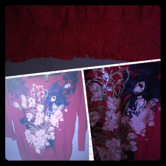 Pink flowers spring top