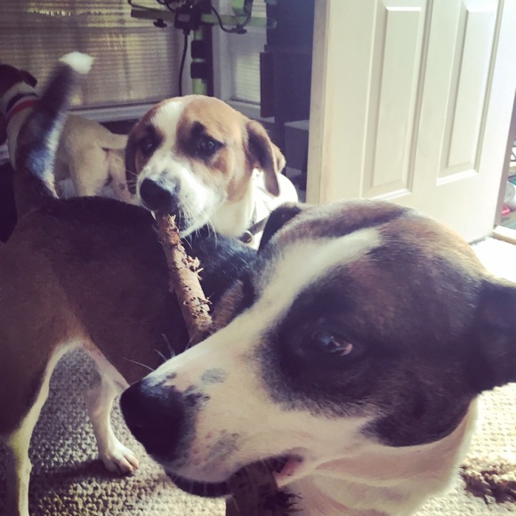 Hello!! 😊💕 - Picture 7 of 8