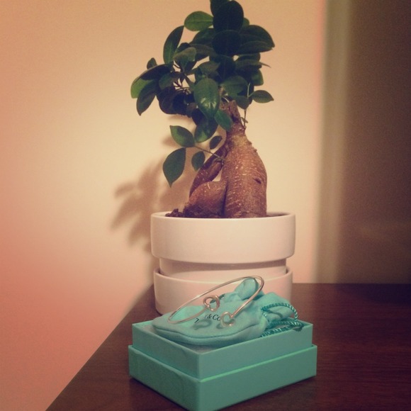 Authentic Tiffany & Co. Open Heart Bangle